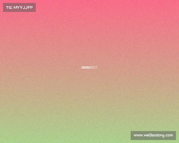 上海篮球比赛2021