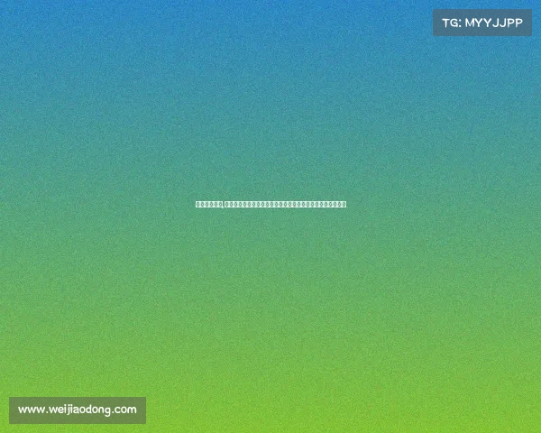 梅西比赛现场,梅西赛事数据深度解析进球助攻表现及职业生涯关键统计回顾